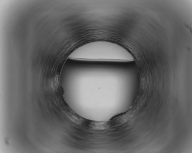 X0000096730093200802051139