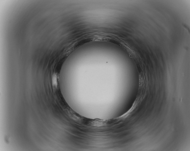 X0000096730094200802051139