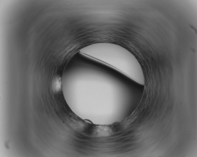 X0000096730095200802051139