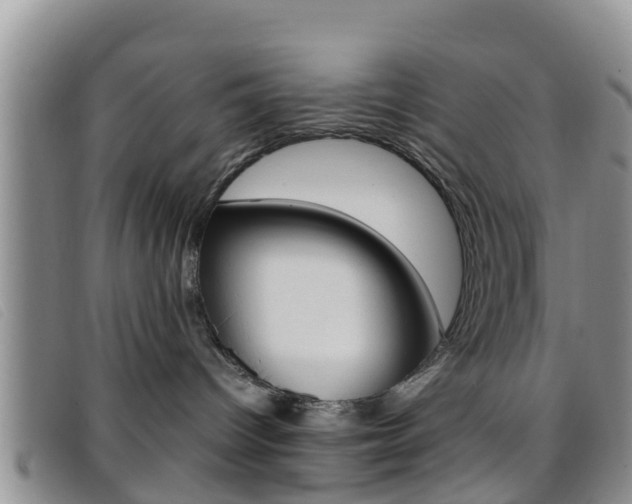 X0000096730096200802051139