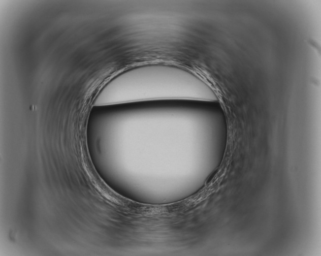 X0000096730097200802051138