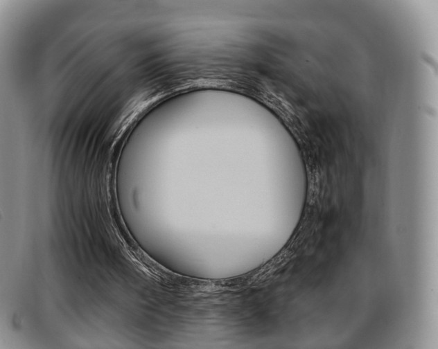 X0000096730098200802051138