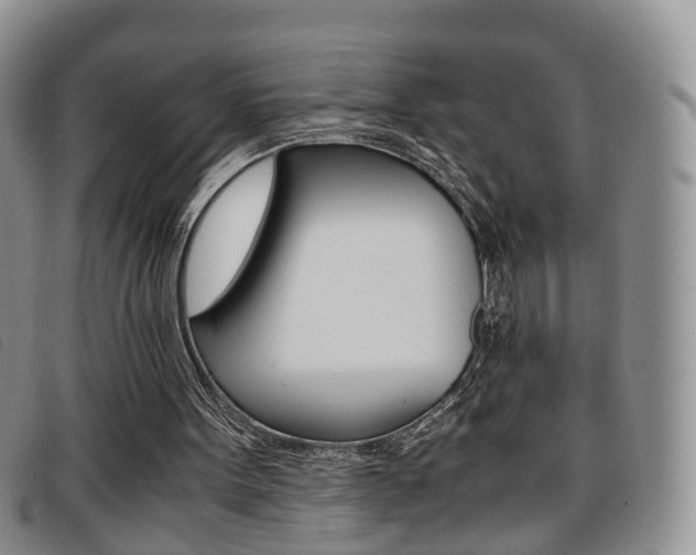 X0000096730099200802051138