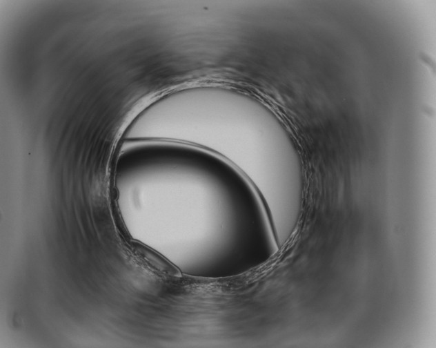 X0000096730100200802051138