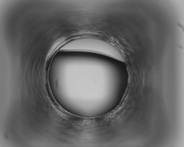 X0000096730101200802051138