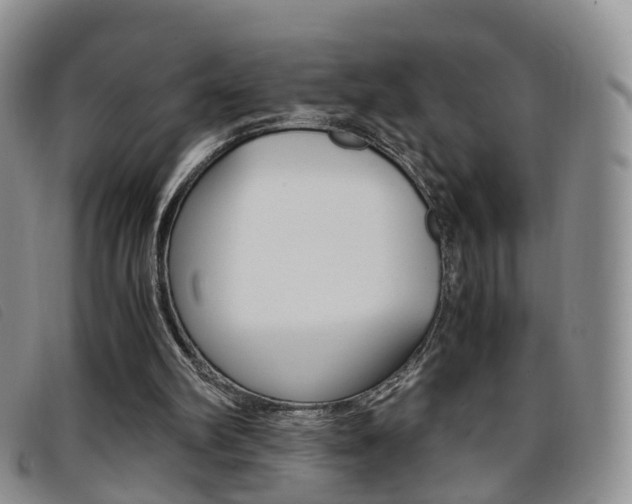 X0000096730102200802051138