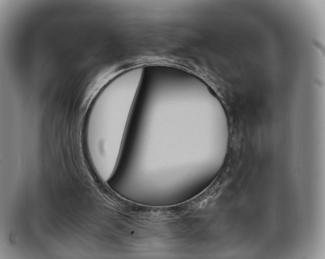 X0000096730103200802051138