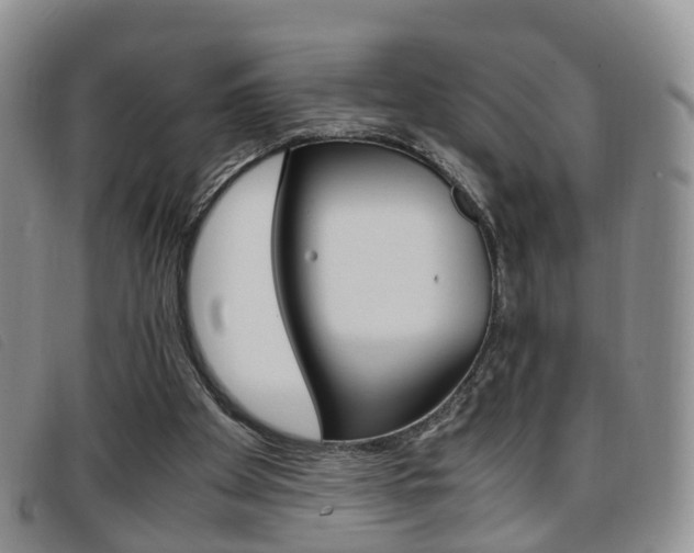 X0000096730105200802051138