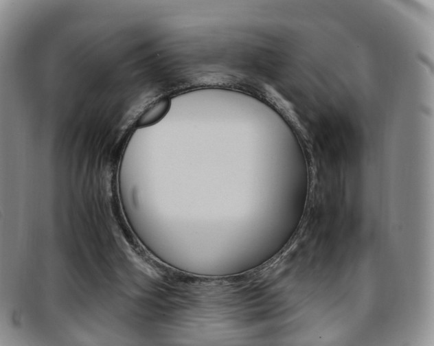 X0000096730106200802051138