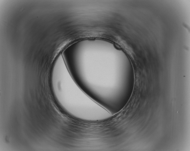 X0000096730107200802051138