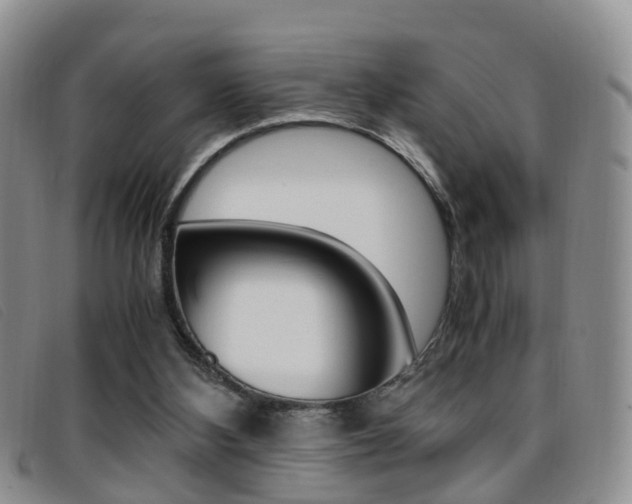 X0000096730108200802051138
