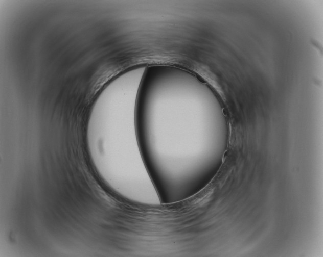 X0000096730109200802051138