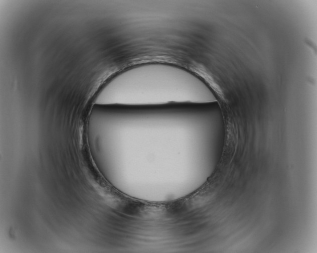X0000096730110200802051138