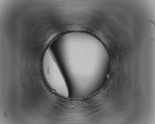 X0000096730111200802051138