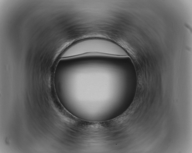 X0000096730112200802051138