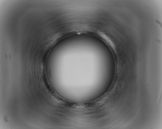 X0000096730113200802051138