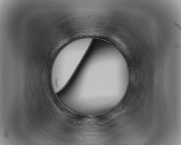 X0000096730115200802051138