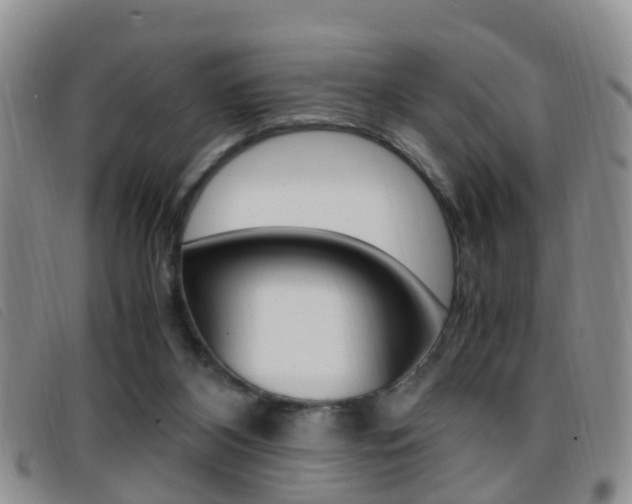 X0000096730116200802051138