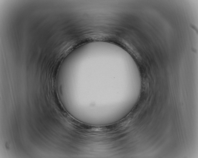 X0000096730117200802051138