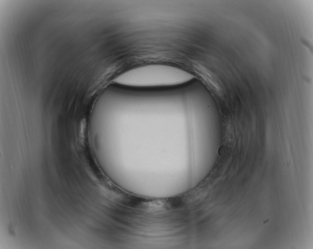X0000096730118200802051138