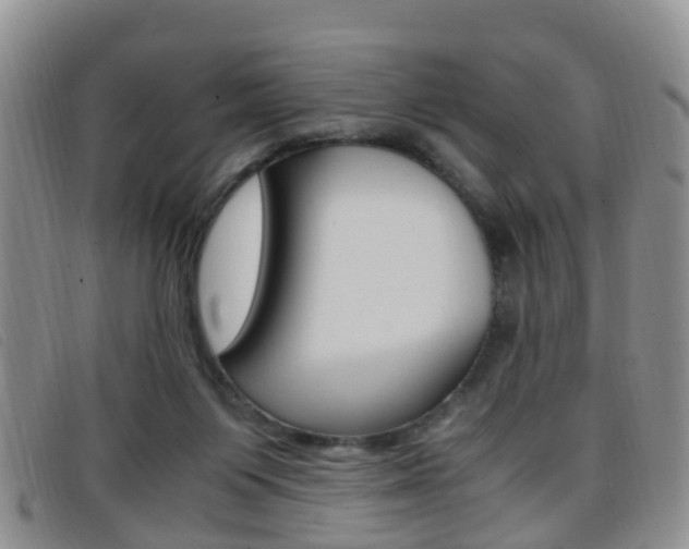 X0000096730119200802051138