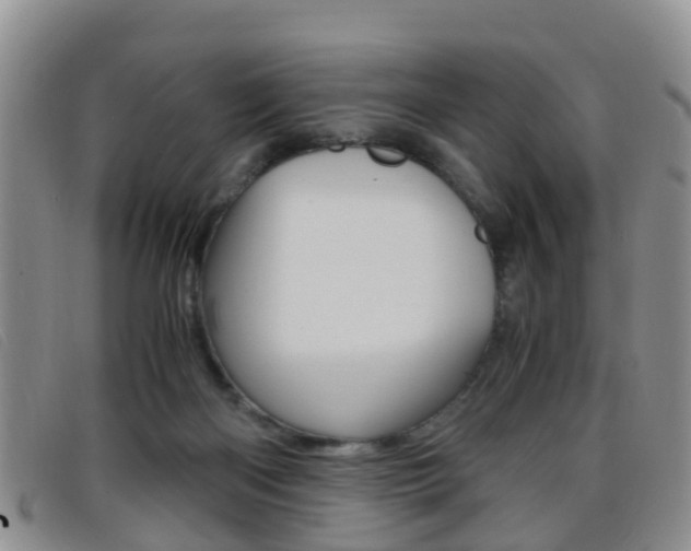 X0000096730122200802051138