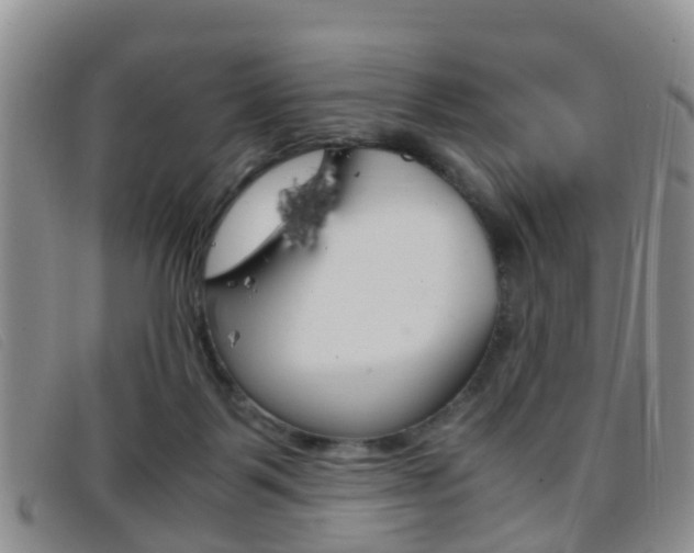 X0000096730123200802051138