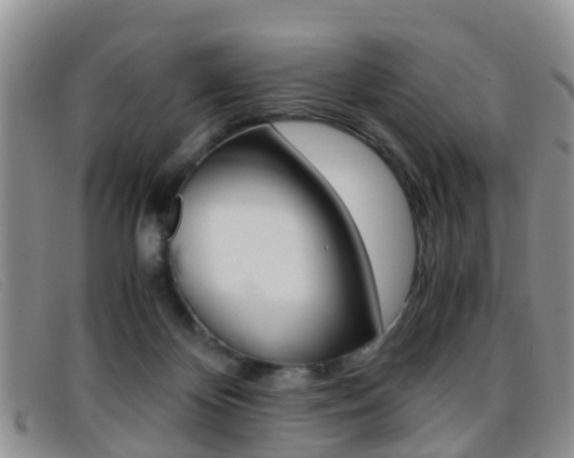X0000096730124200802051138