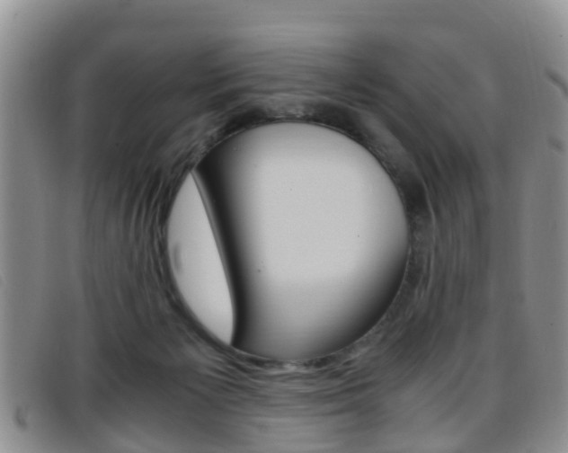 X0000096730125200802051138