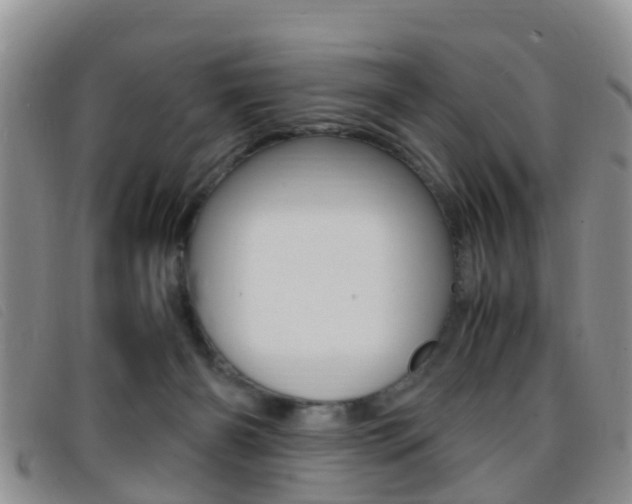 X0000096730126200802051138