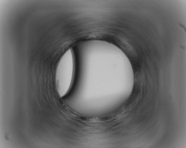 X0000096730127200802051138