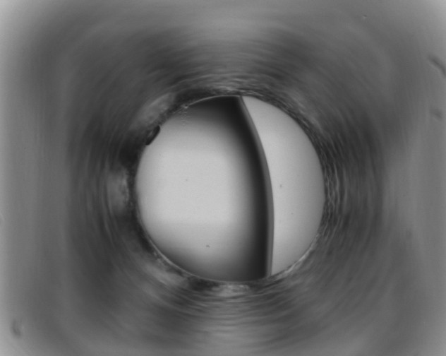 X0000096730128200802051138