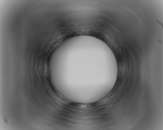 X0000096730130200802051138