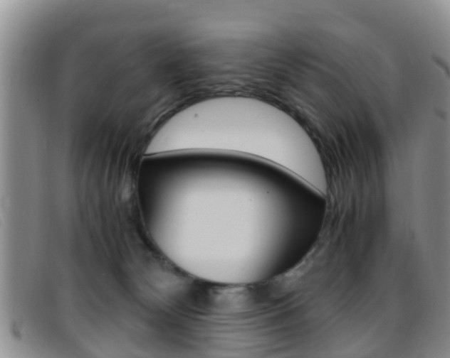 X0000096730132200802051138