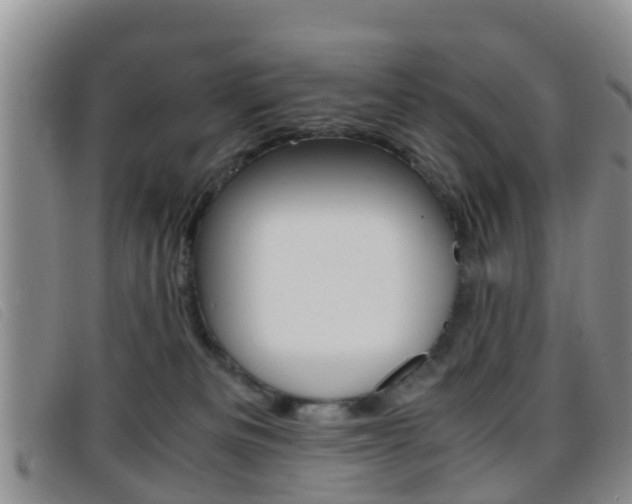 X0000096730133200802051138
