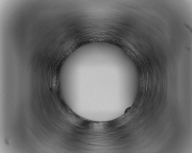 X0000096730134200802051138
