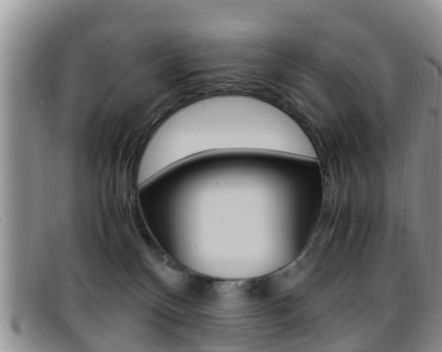 X0000096730136200802051137