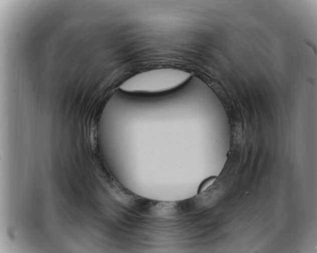 X0000096730138200802051137