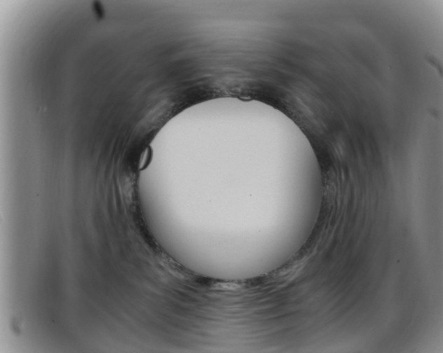 X0000096730139200802051137