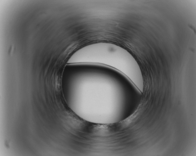 X0000096730140200802051137