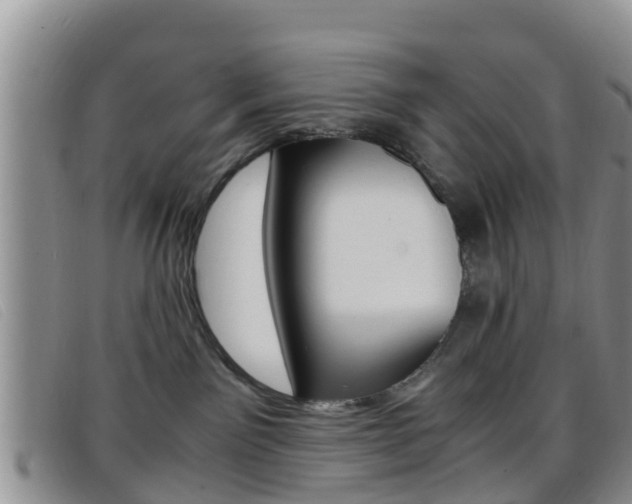 X0000096730141200802051137
