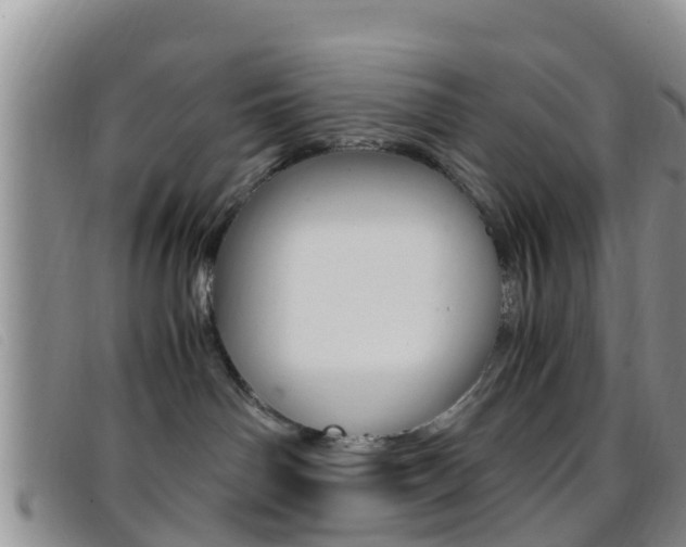 X0000096730142200802051137