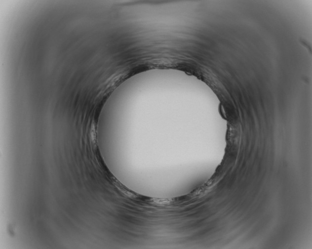 X0000096730143200802051137