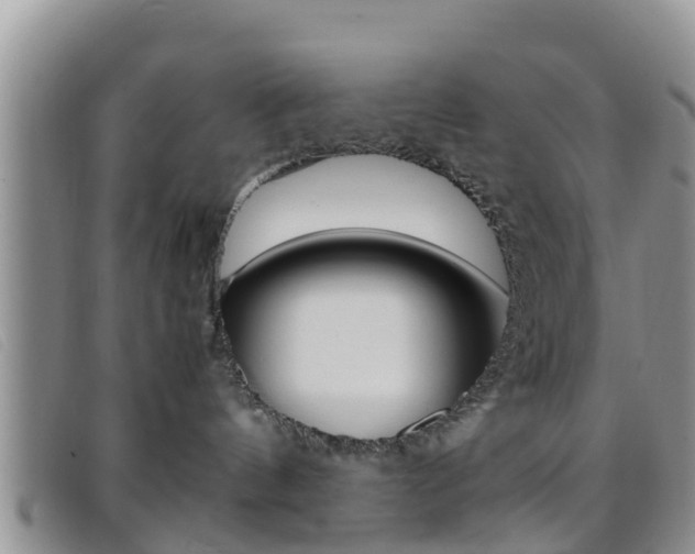 X0000096730144200802051137