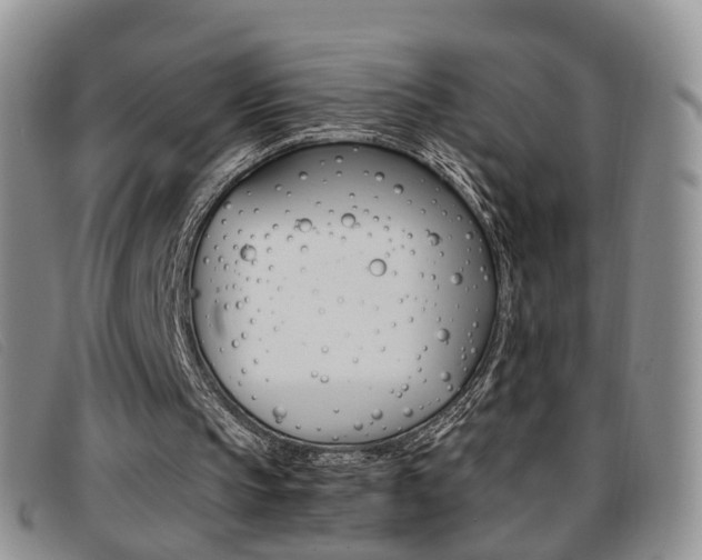 X0000096730145200802051137