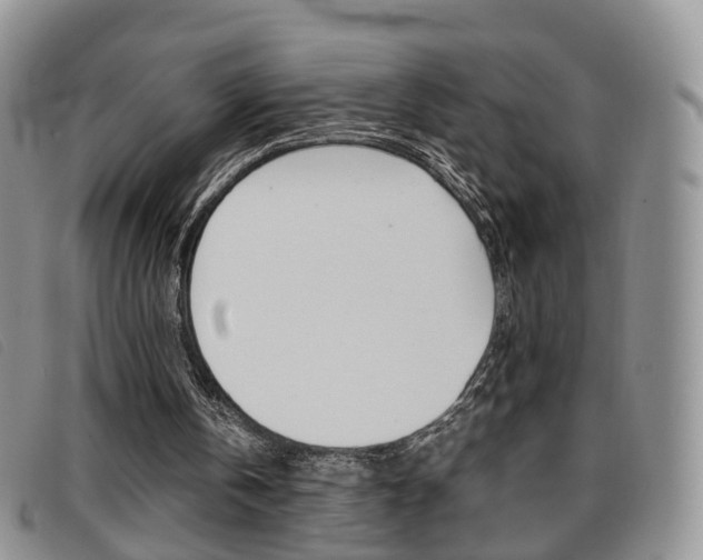 X0000096730146200802051137