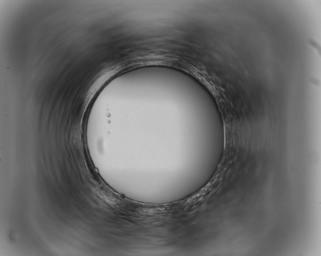 X0000096730147200802051137