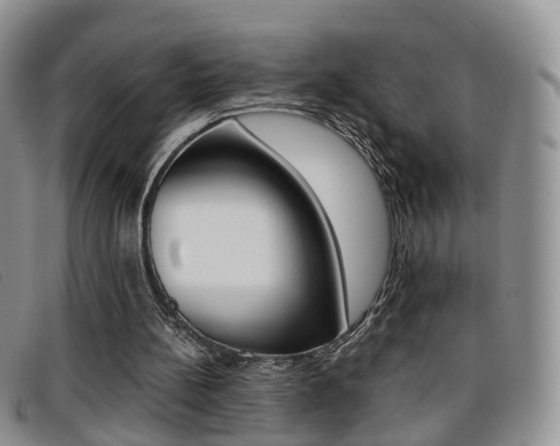 X0000096730148200802051137