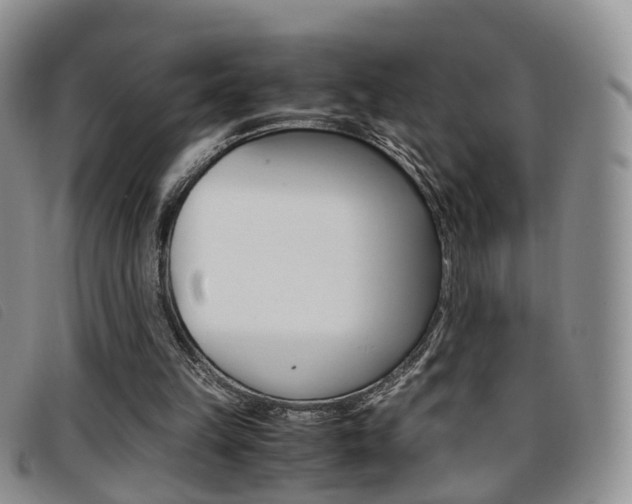 X0000096730149200802051137