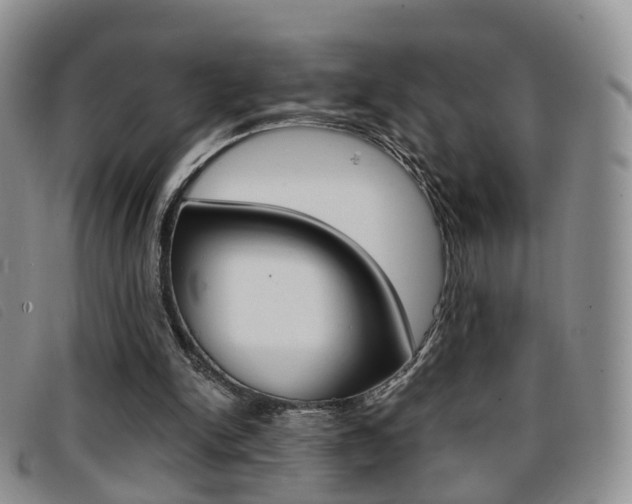 X0000096730150200802051137